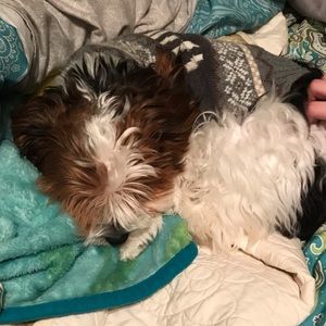 Meet your Posher, April